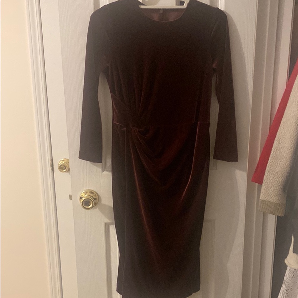Elegant Burgundy Velvet Dress